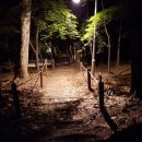 우면산7-2-5 이미지