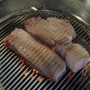 탐라도니 이미지