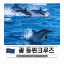 블루오션여행사 - 고양시 일산서구 킨텍스로 255 | 괌 태교여행 코스 블루 오션 스타 돌핀크루즈 복장 돌핀투어 예약 팁
