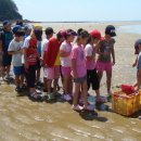 백운초등학교 이미지