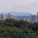 산야공인중개사사무소 이미지