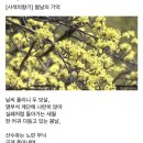 오늘의 小史 이미지