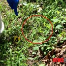 세모안경 이미지