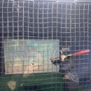 리얼야구존평거점 이미지