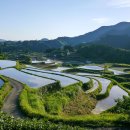 마요네식탁 네이버블로그