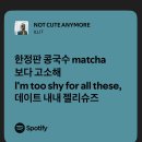 도그마미 | 암 낫 큩 애니모어 ~ 💓🫰🙅‍♀️ 한정판 콩국수 캐치테이블해