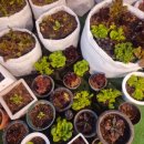 학신로-1 이미지