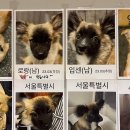 꽃길걷개 - 하남시 미사강변서로 22 | 꽃길걷개