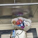 오구시포펜션 | [고창 구시포해수욕장 펜션] 오션뷰 오구시포 펜션/ 광주근교 해루질 / 고창해루질