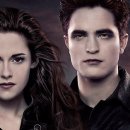 A WORLD TOUR WITH CM 이미지