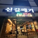 신갈매기 이미지