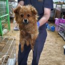 만천양지길 이미지