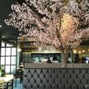 영등동-04 이미지