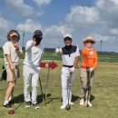 파크골프 이미지