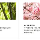 고목림