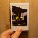 구황스테이 이미지