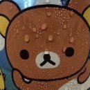 성민목장 | 2025 여름 🥵☀️💦🤿