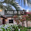 씨유 울산범서현대점 | [공지] 울산 신상 카페: 카페 머물다 구영점ㅣ제주 감성 가득한 수국, 포토존 맛집 후기
