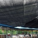 용추맛집 이미지