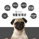 사하동물병원 이미지