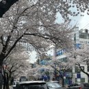 신일중학교 | [시험 끝!] 2025년 4월 5일~6일