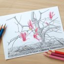 색연필 그림 이미지