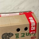 금성표고농장