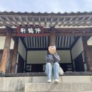 블루25 덕신점 | 600년의 시간을 걷다, 울산 중구 원도심 도보 여행 뚜벅이 코스 총정리🚶‍➡️