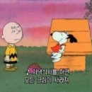 금돈돈 갈비 이미지