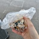 23.APR #1.서울찍고 오송찍고 다시 부산