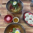 청주 송절동 밀면 맛집 [청주가야밀면] 추천 후기