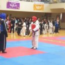 용인대 화랑 합기도 이미지