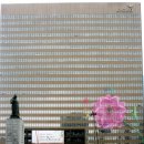 오늘의 포토 뉴스! 이미지