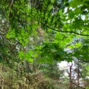 고척1동 자치회관 이미지