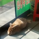 사거리회관