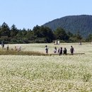 청초농장 이미지