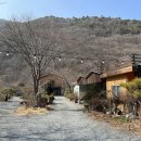 마음애고향 이미지