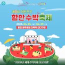 함안-4 이미지