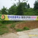 양서초등학교 이미지