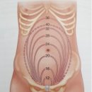 하이베베 이미지