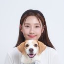 우리 집 막내와 평생 남길 인생샷, 포토플랜 반려동물 동반 촬영 후기 [마곡역 포토플랜]
