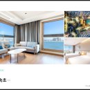 도미니클라바 이미지