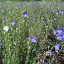 으뜸2농장 이미지