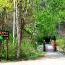 필례산장 이미지