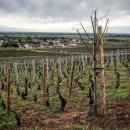 (주)피노핀 이미지