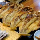 용담밭담 이미지