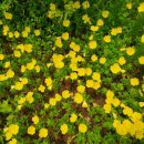 외할머니의 부엌 이미지