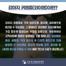 고척원동물의료센터 이미지