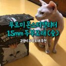 늘푸르미 | 내돈내산 푸르미 몬스터캣리터 두부모래 1.5mm 숯 후기