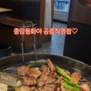 종암동화야공릉